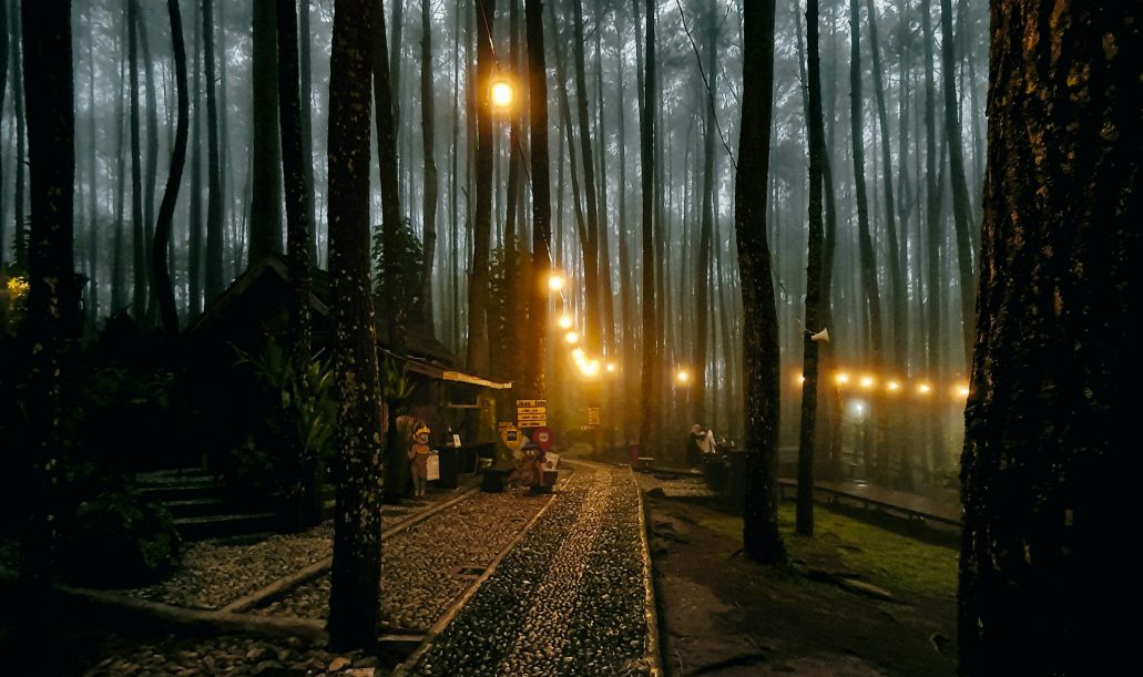 m-veven-W2sOg5fMqvg-unsplash