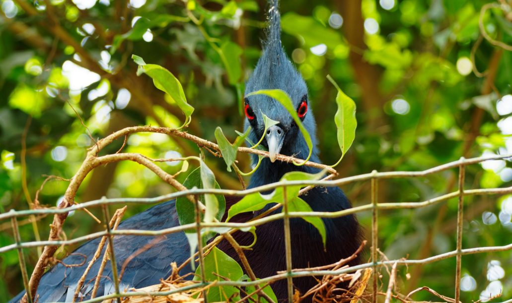 nicolas-beuret-SLB-XGEjrSs-unsplash