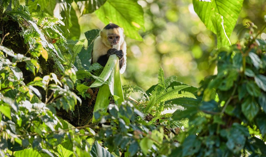 zdenek-machacek-ZsnnNFDJZpw-unsplash